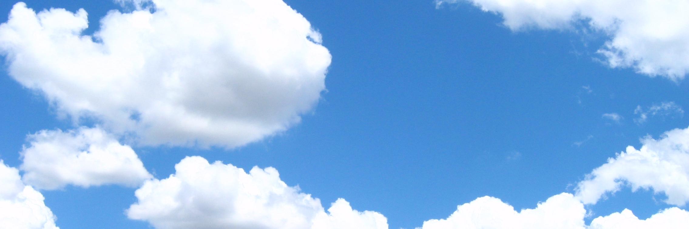 baggagelizard's profile banner image