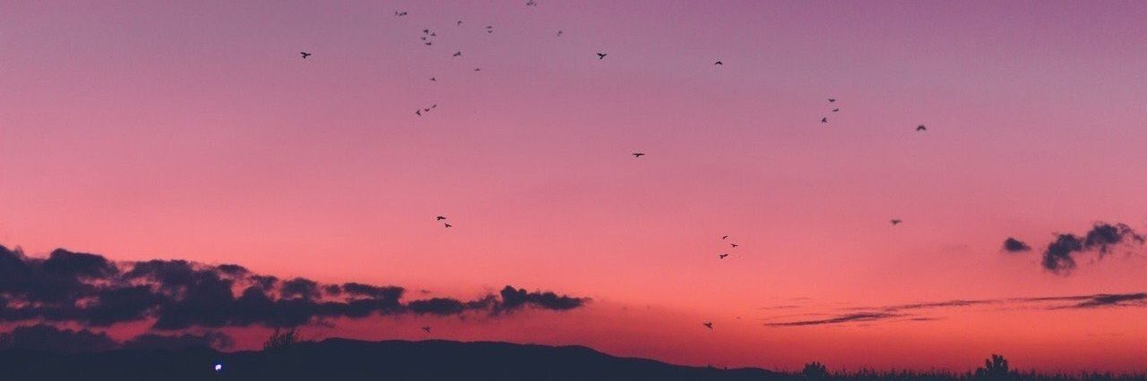 Ichomar_'s profile banner image