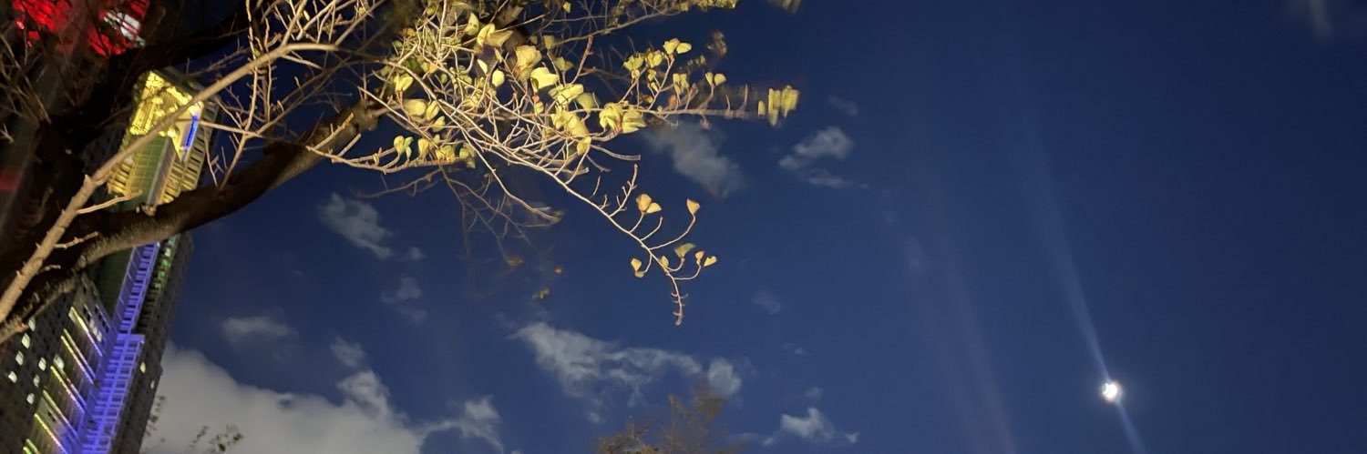 psydean's profile banner image