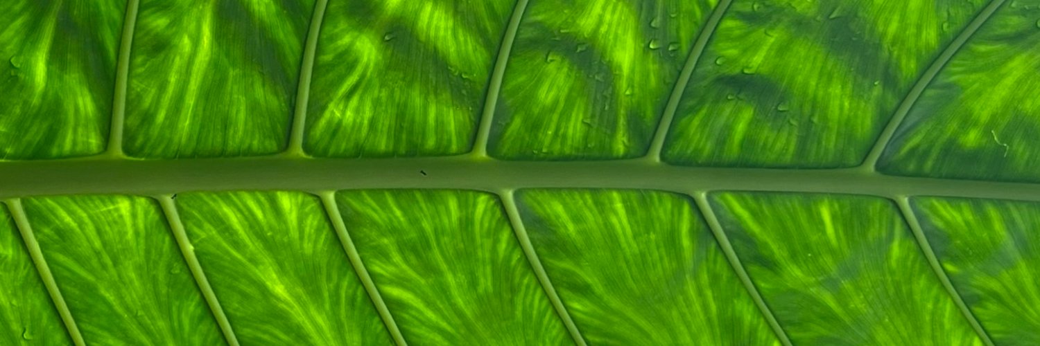 Tristan_MM's profile banner image
