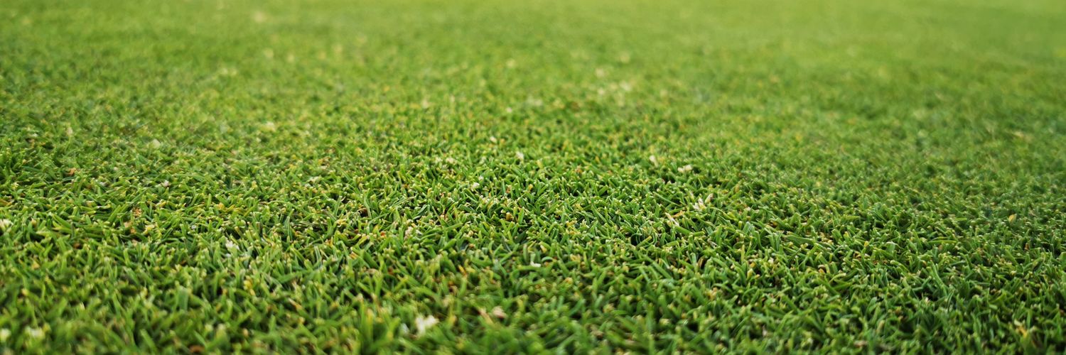 You don't say banner