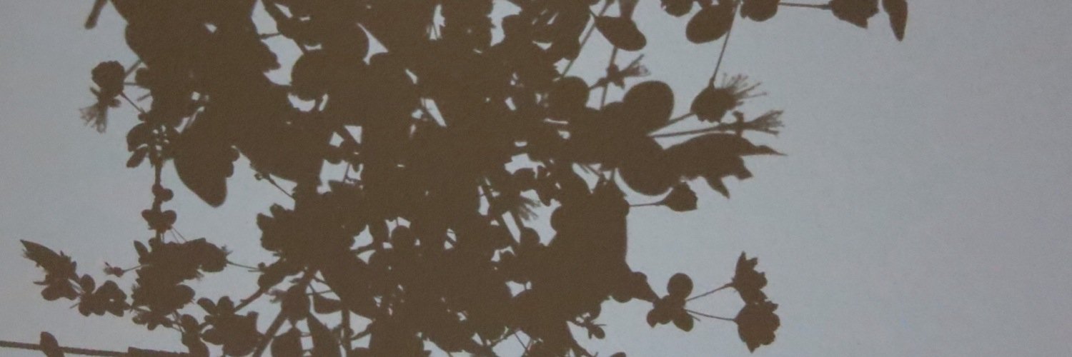 NNverX's profile banner image