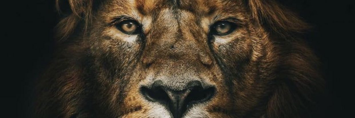 yxvngcam's profile banner image