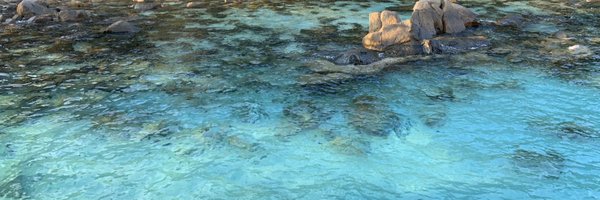 Chairaaaa Profile Banner