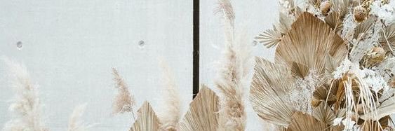 IngramLickliter's profile banner image