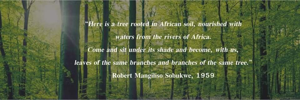 Johannesburg Urban Forest Alliance banner