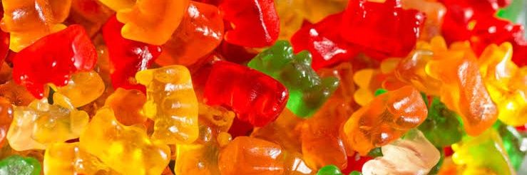 Bianca Ximenes banner