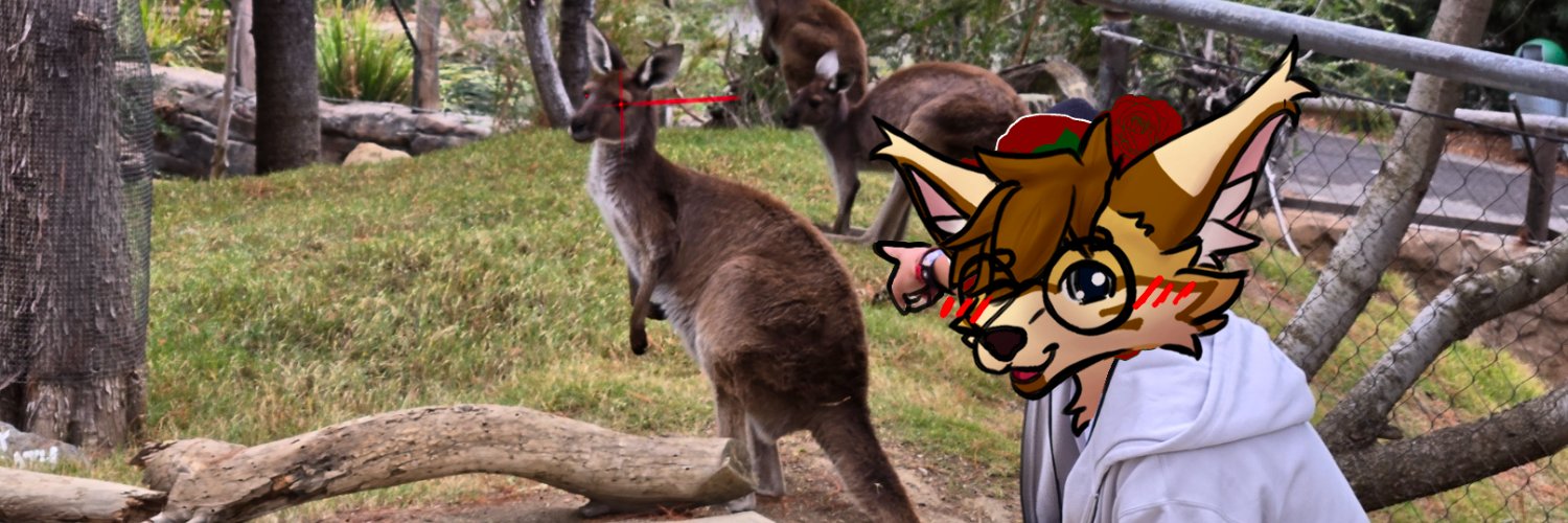 🍁 Maple 🍁 banner