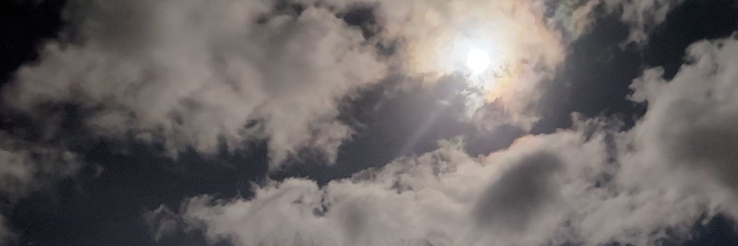 LOemils's profile banner image