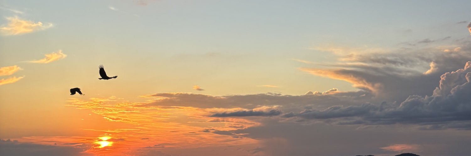 ssabrinazz's profile banner image