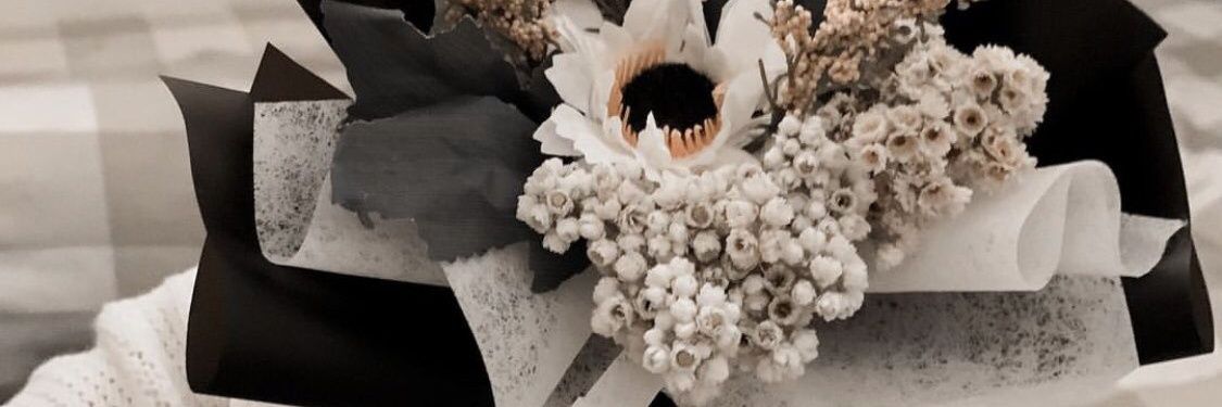 wndindr's profile banner image