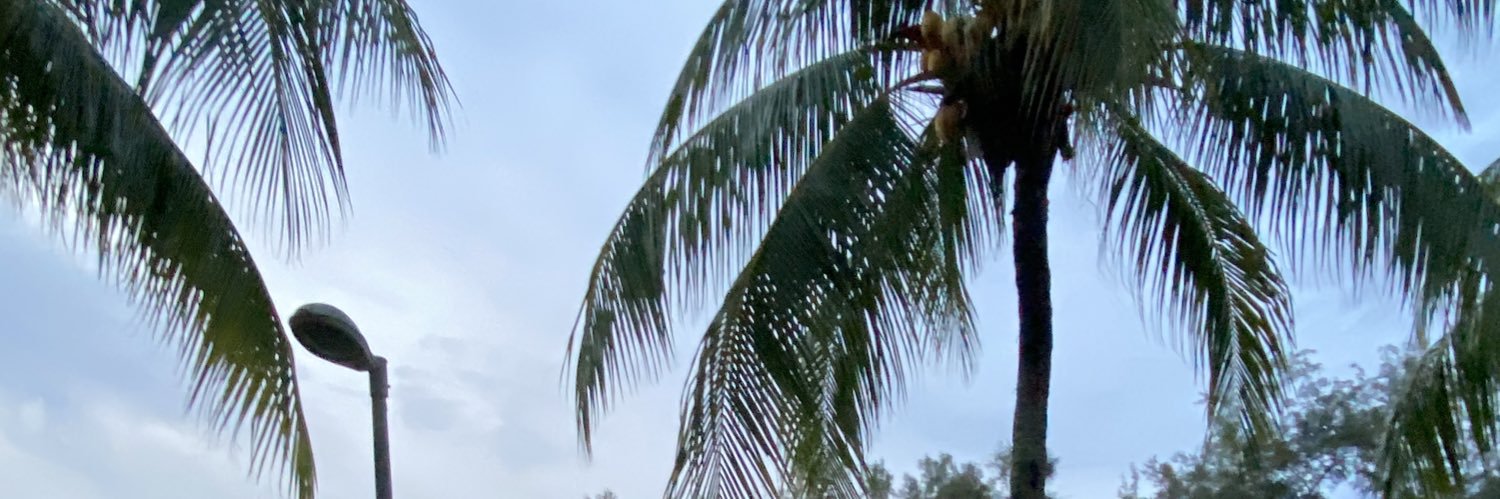 alyaaamaline's profile banner image