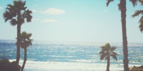 nwallz's profile banner image
