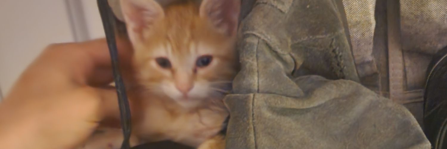 LordAries315's profile banner image