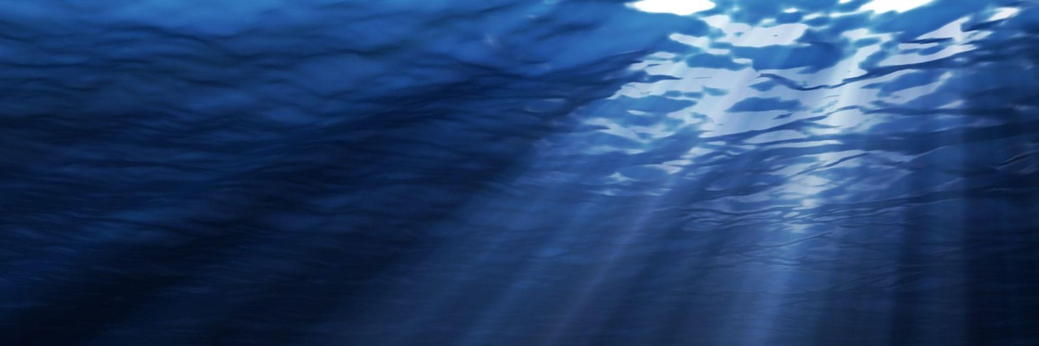 Bonitas Research banner