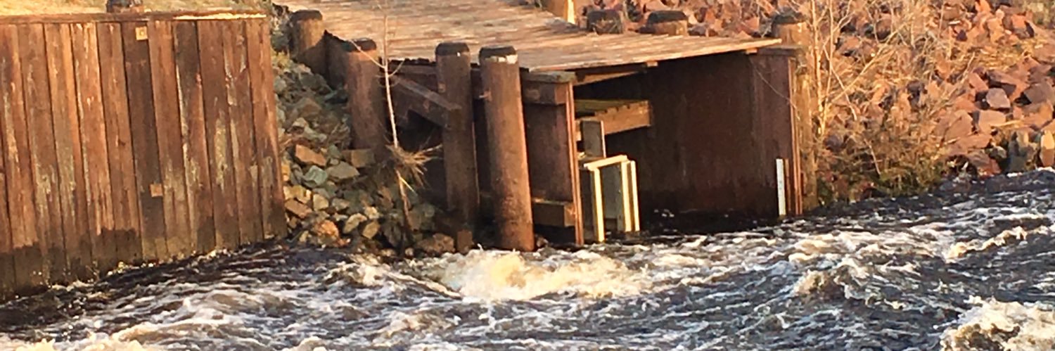 Thomas Hanff, MD MSCE banner