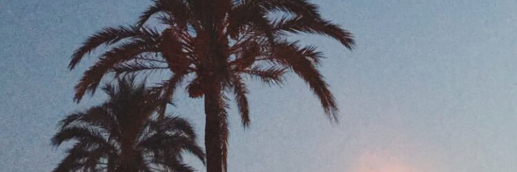 PeekerAmanda's profile banner image