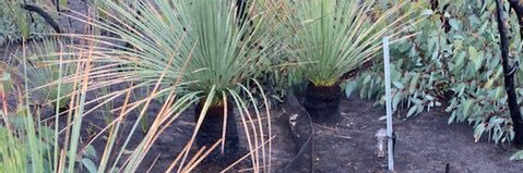 Heidi Groffen banner