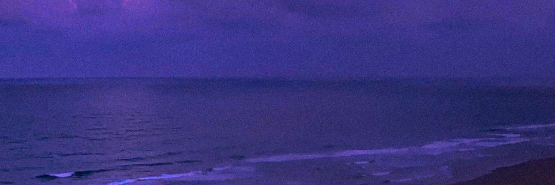 lineale_'s profile banner image