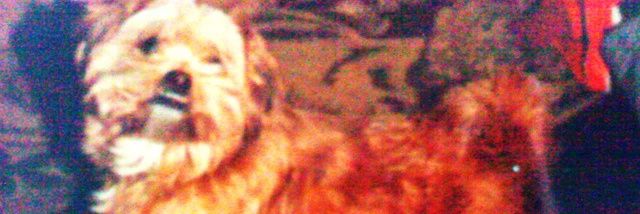 abraham_MM83's profile banner image