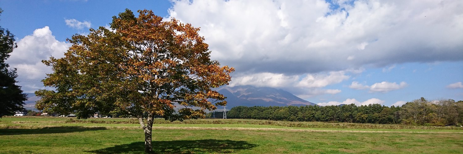 toship55's profile banner image