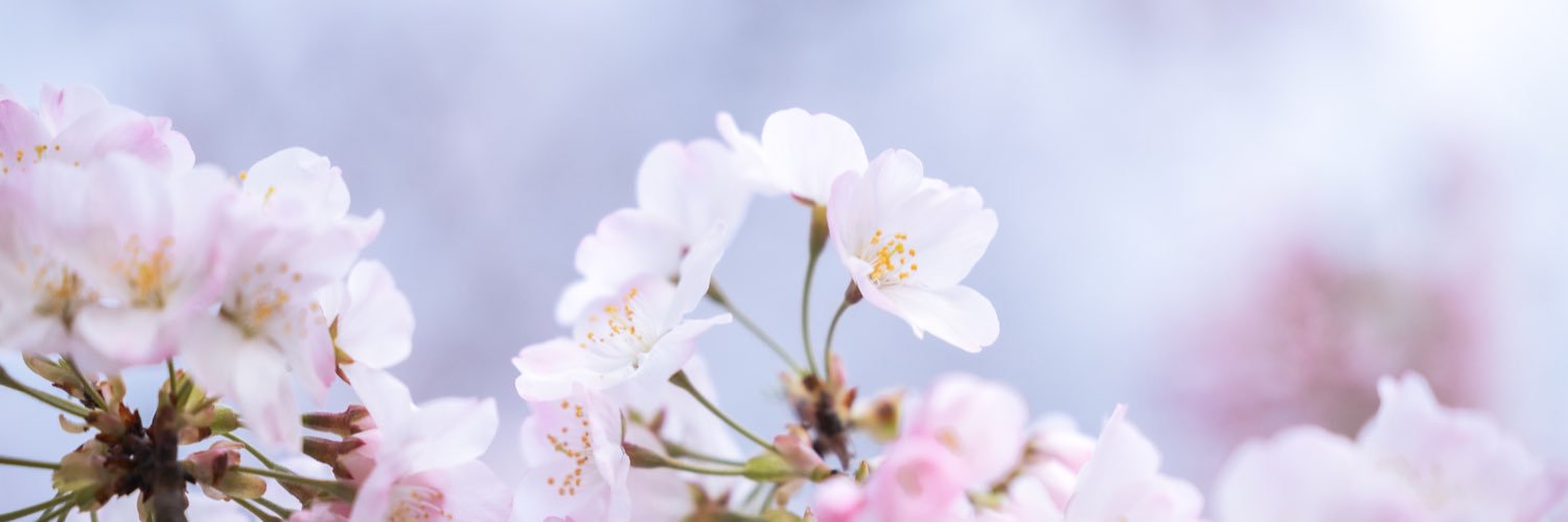 akisukiy92's profile banner image