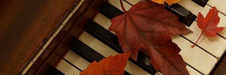 𝒜𝓁𝑜𝓉𝓊𝓈 𝒩𝒾𝓃𝑒 banner