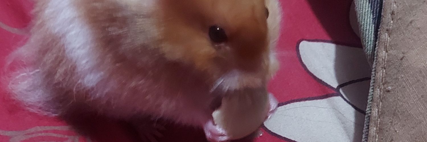 paulyndaa's profile banner image