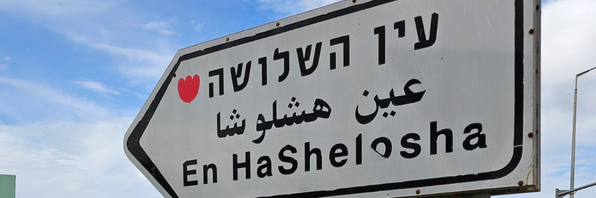 Liora Ben Tsur banner