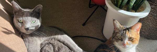 x_knowledge Profile Banner