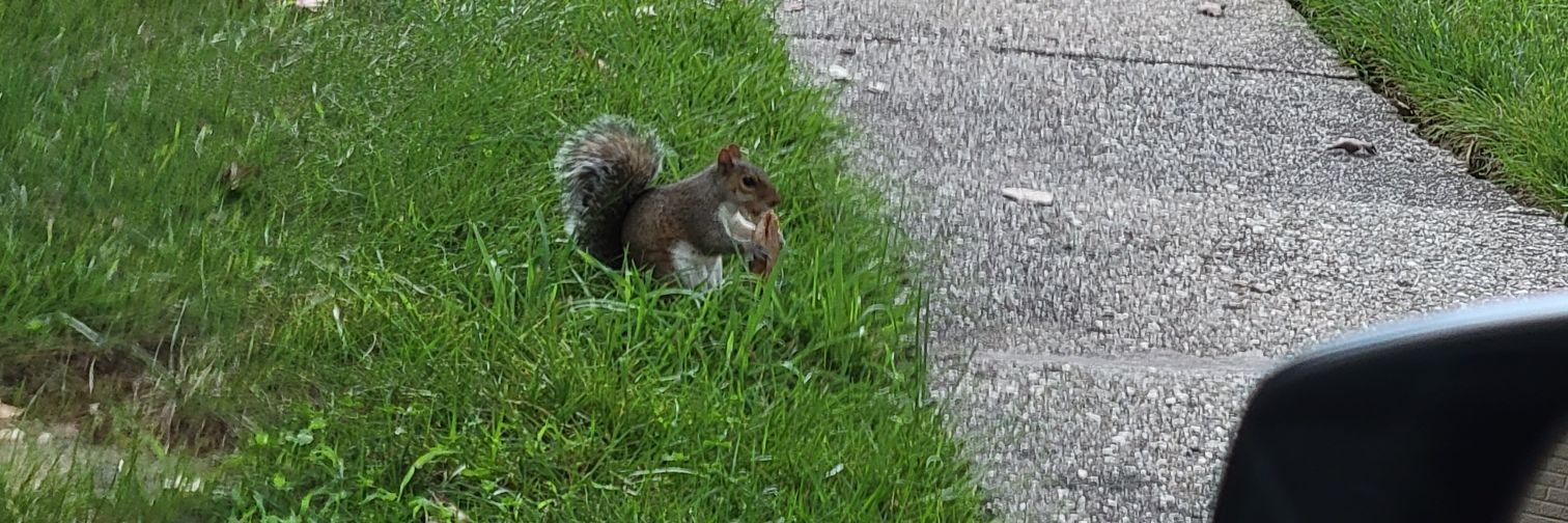 Jonathan T Sitko, ESQ. DDS banner