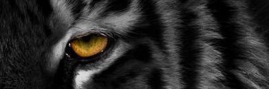 DaviDuran7's profile banner image