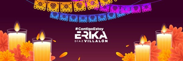 Erika Díaz Villalón Profile Banner