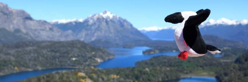 ekopy's profile banner image
