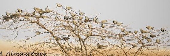 mohamm156's profile banner image