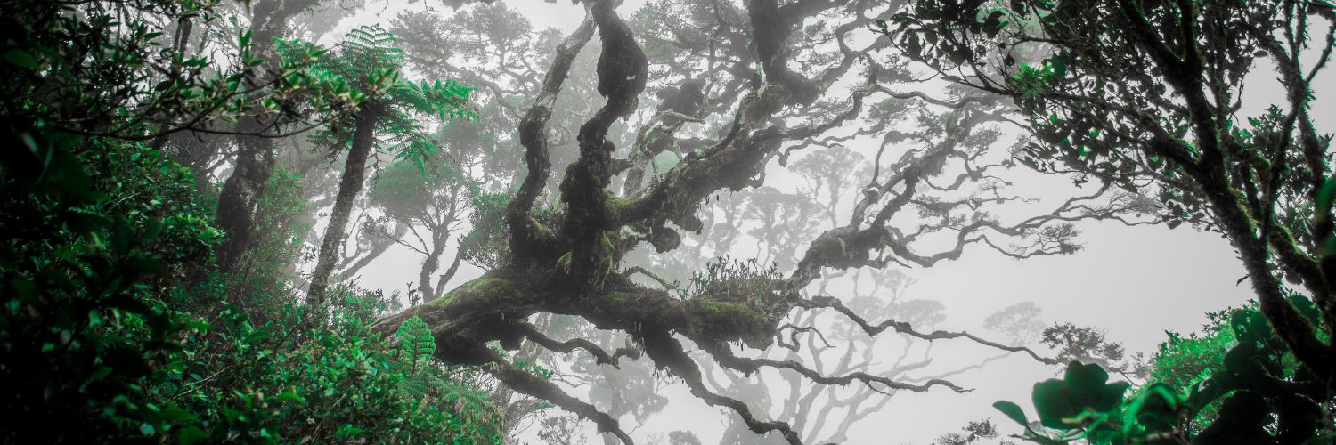 1027Wilbert's profile banner image