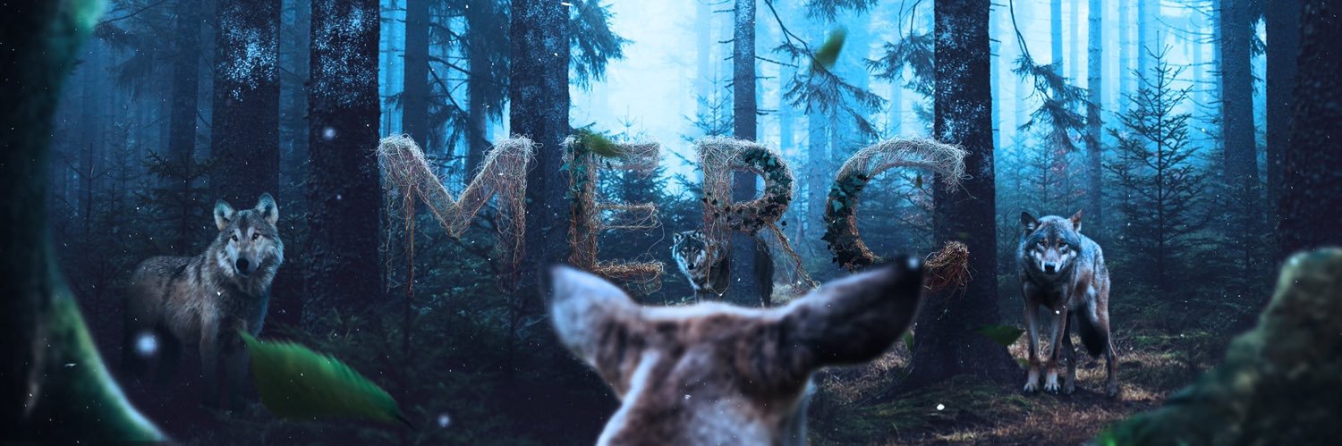 Ⓜ️erc banner