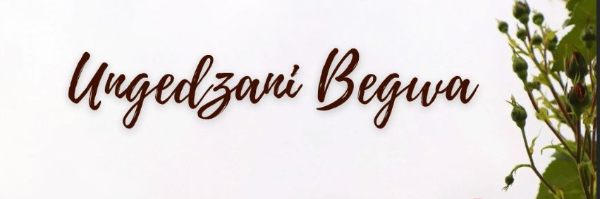 Ungee_Be's profile banner image