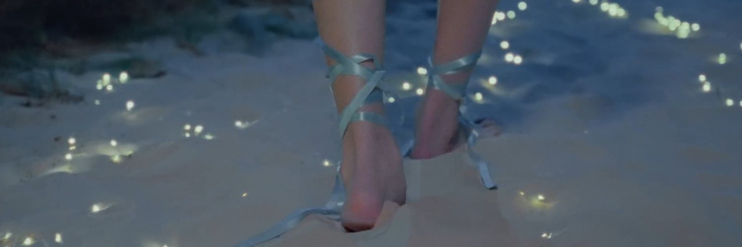lily banner