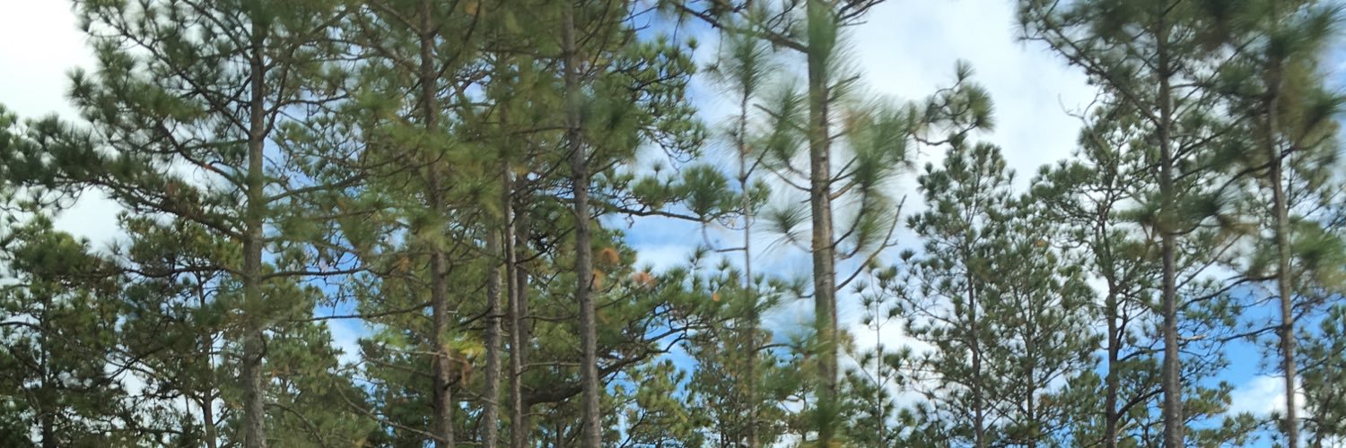 brooke_resch's profile banner image