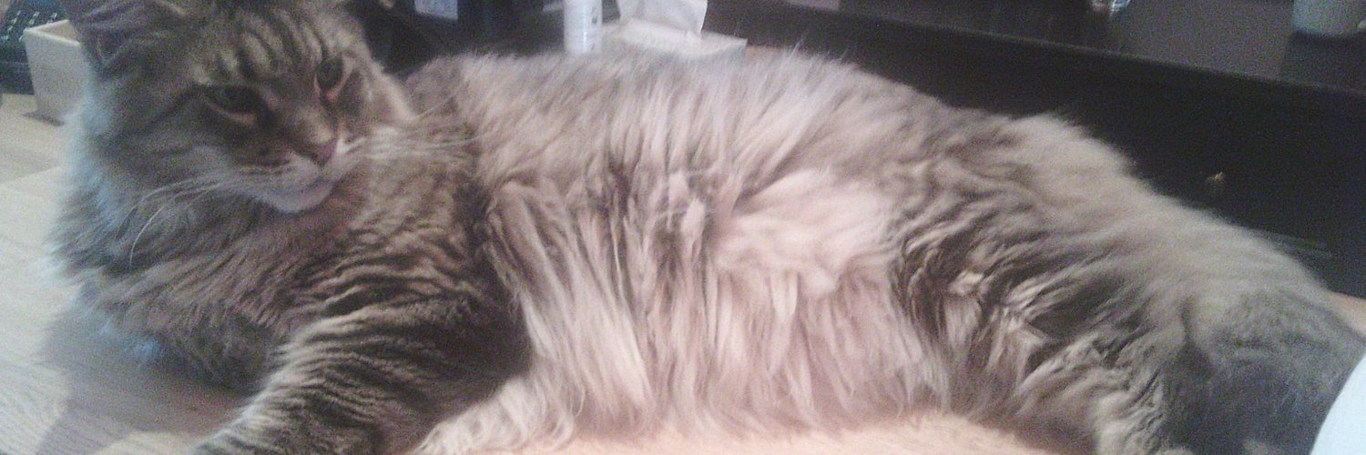 Shadow Slicer banner