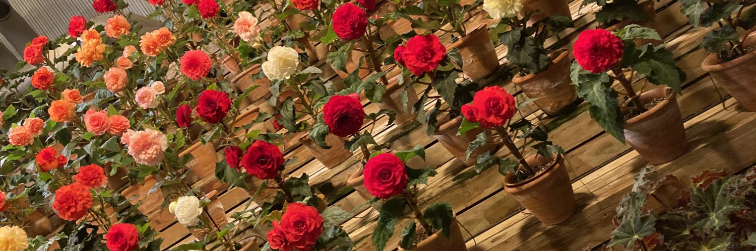 29naomi1's profile banner image