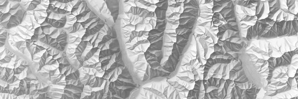 mappingbernie Profile Banner