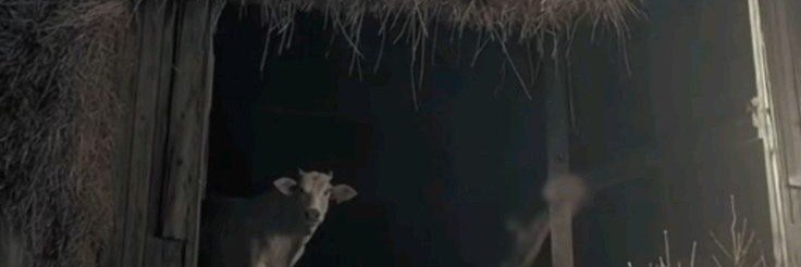 ancestralspec's profile banner image