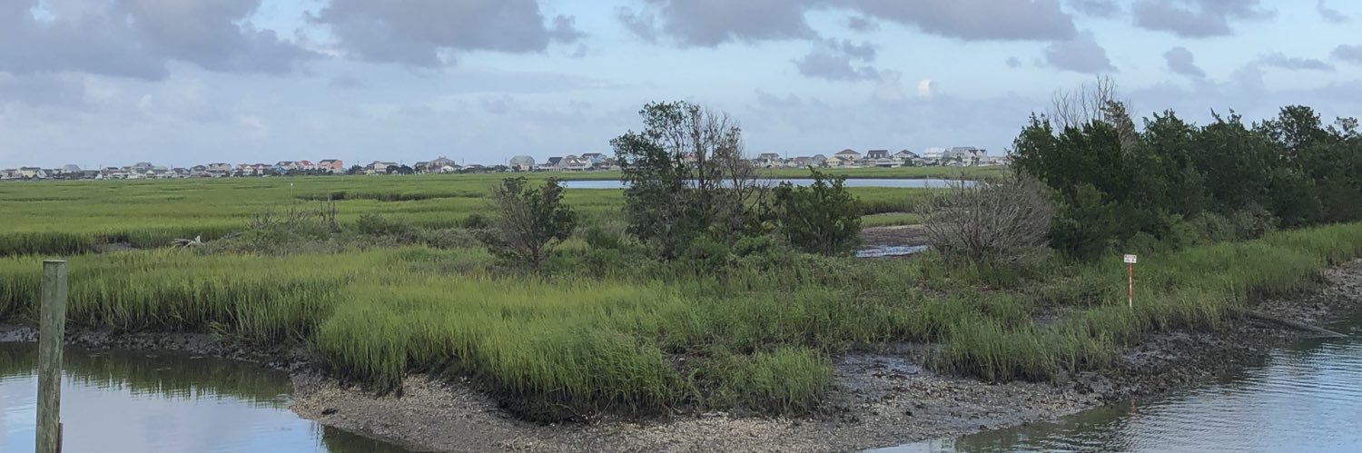 Ingrid Bousquet banner