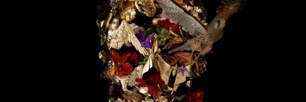 AsylumSFX Profile Banner