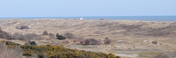 PatchBirding Profile Banner