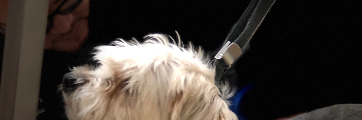 Petsmart1669 banner