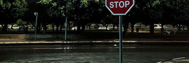 𝐒𝐀𝐑𝐀 ☂️ banner