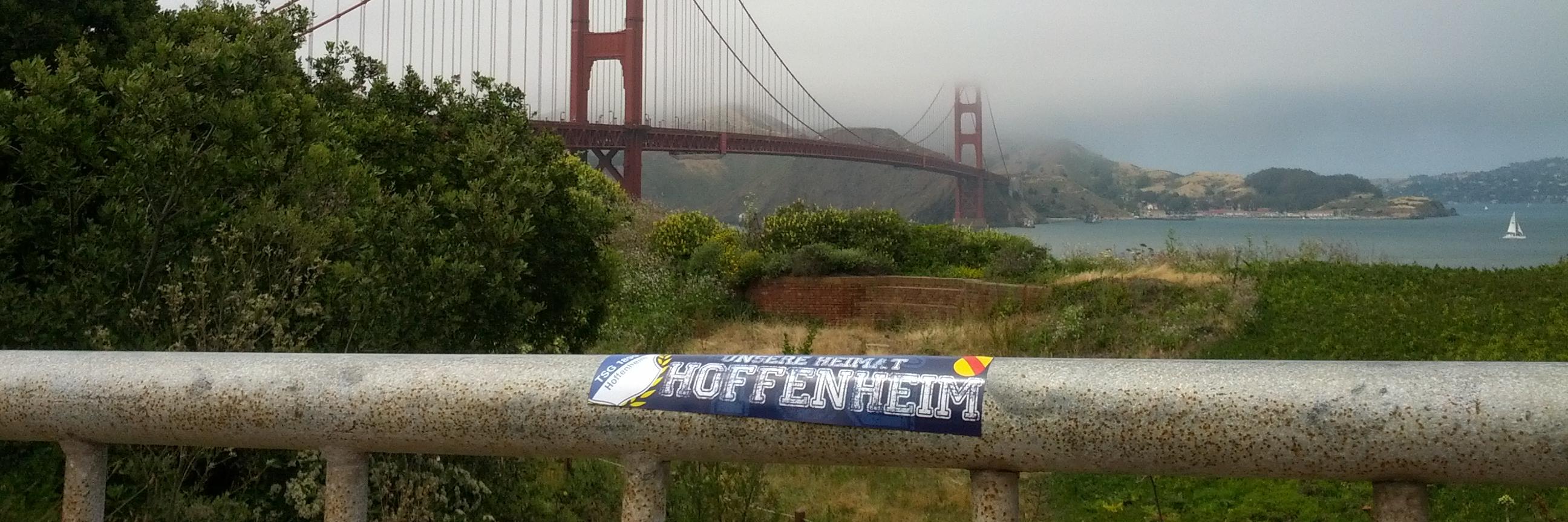 mvandott's profile banner image
